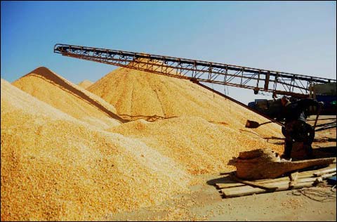 �Zʳ�������C(j��)