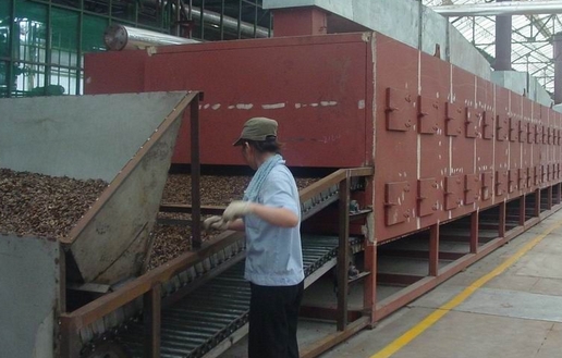 ��ʽ����C2